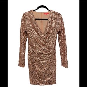 Gorgeous Sequin dress with a deep V-neck and hidden back zipper. 100% polyester.